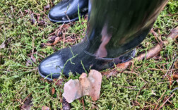 Gummistiefel Reitstiefel Schwarz