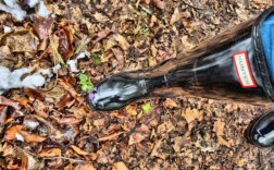 Gummistiefel Hunter Schwarz Glossy