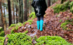 Gummistiefel Hunter Mint