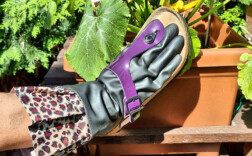 Birkenstock Gizeh Lack Lila