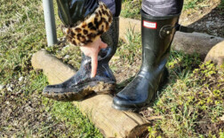Gummistiefel Mittel Schwarz Glitzer Hunter