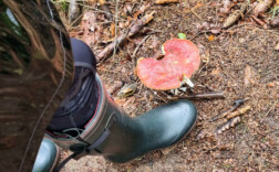 Gummistiefel Aigle Parcours 2 ISO