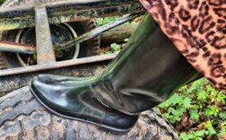Gummistiefel Reitstiefel Schwarz