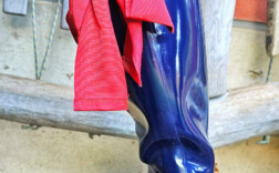 Gummistiefel Blau Glossy Schleife Joules